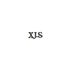 Badge Xjs BCC3665G