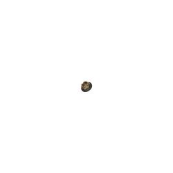 Hub Nut C2S51676G