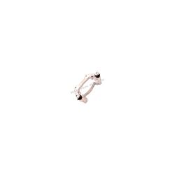 Brake Caliper Carrier SXP500014