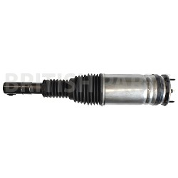 Air Spring & Shock Absorber LH